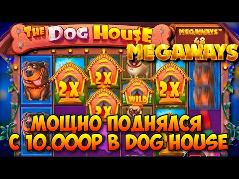 Видео: ПОДНИМАЕМСЯ С 10.000 РУБЛЕЙ В DOG HOUSE / ЭПИЧНАЯ ВЫДАЧА И ОКУП ВСЕХ БОНУСОК В MEGAWAYS ЗАТАЩИЛИ!