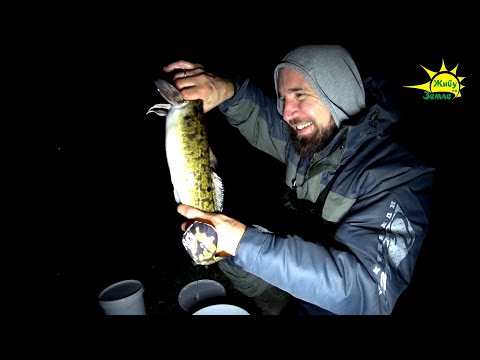 Видео: Рыбалка на Налима. Налим на Донки. Сокращенная ТВ версия. 2020 год.