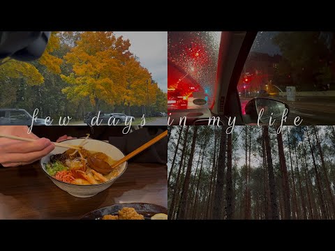 Видео: a few days in my life// осенние деньки, моя рутина и вкусный рамен