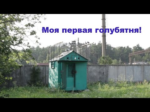 Видео: Моя первая голубятня.