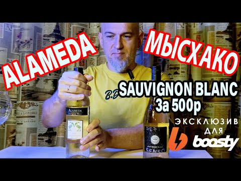 Видео: Совиньон Блан за 500р. Мысхако Сесто Сенсо и Аламеда