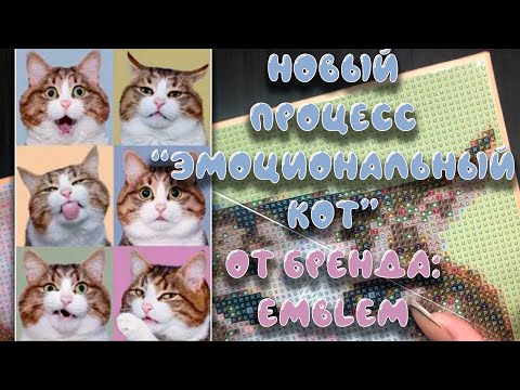 Видео: НОВЫЙ ПРОЦЕСС С КОТИКОМ // ЭМОЦИОНАЛЬНЫЙ КОТ ОТ БРЕНДА EMBLEM