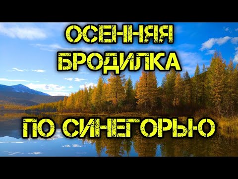 Видео: Осенняя бродилка по Синегорью.