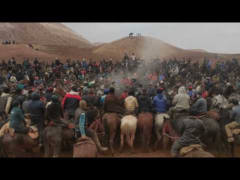 Видео: √'1 Гала болду Аттар басбай калдыго Ноокат р Кызыл тейт айылы