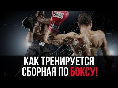 Видео: Как тренируются НАСТОЯЩИЕ боксеры?! НЕВЕРОЯТНАЯ тренировка сборной по боксу!