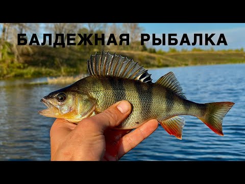 Видео: РЫБАЛКА ДЛЯ ДУШИ, ПОКЛЕВКИ ЩУКИ И ОКУНЯ!