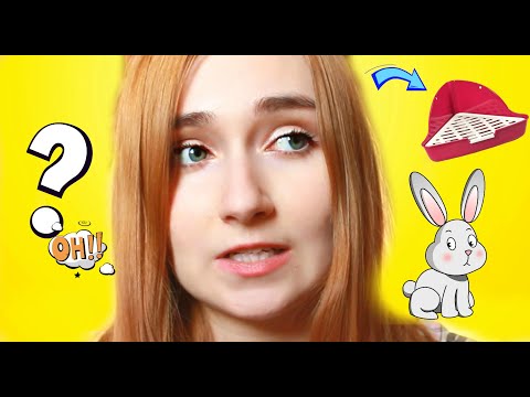 Видео: КАК ПРИУЧИТЬ КРОЛИКА К ЛОТКУ? / ПРОВЕРЕННЫЕ СПОСОБЫ