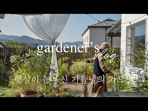 Видео: Я хочу провести весь день в моем маленьком саду в этот прекрасный осень 🌾✨