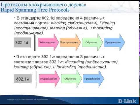 Видео: Вебинар - Построение кольцевых топологий