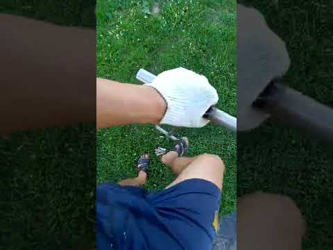 Видео: Корчеватель клубники,рассада.