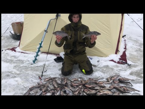 Видео: Зимняя рыбалка с комфортом .Десногорское Водохранилище 29-31 января  ,ловля подлещика на поплавок
