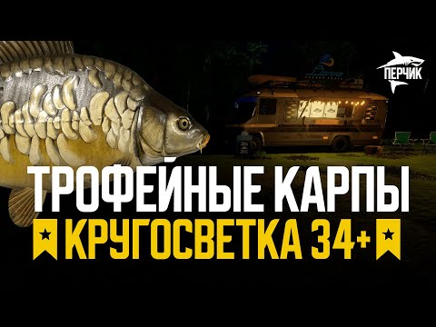 Видео: Поиск огромных карпов (вырубился интернет) ● Русская рыбалка 4 ● РР4