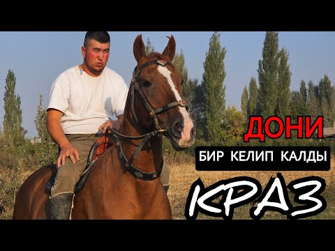 Видео: КРАЗ БИР КЕЛИП КАЛДЫ