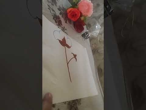 Видео: Тушда пахта ку'рса нима бу'лади /алохида очирим к,илмок,Чи бу'лганларга тел 998508860639