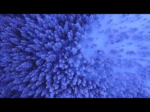 Видео: Медитация глубоко расслабления за 5 минут. Шавасана