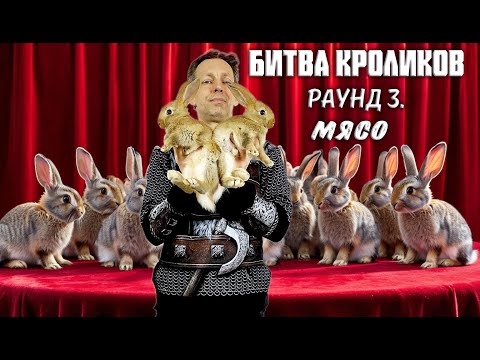 Видео: Битва кроликов. Раунд 3. Мясо / Rabbit Battle. Round 3. Meat