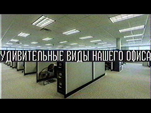 Видео: Страшные истории - Удивительные виды нашего офиса