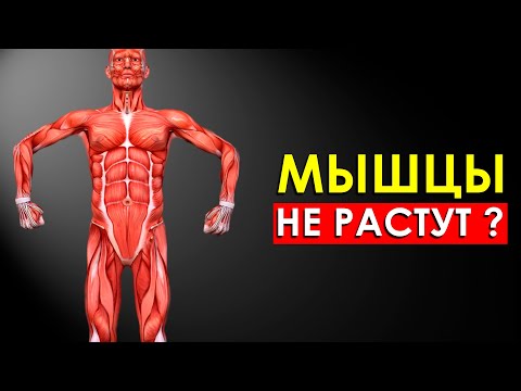Видео: Эти 5 факторов Блокируют Рост Ваших Мышц (Удивительно)