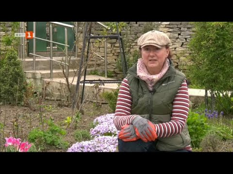 Видео: Ваня Захариева и нейната кауза за чист въздух, "Малки истории", - 19.05.2021 по БНТ