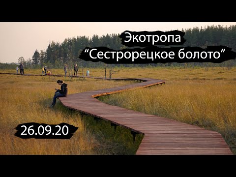 Видео: Интересные места Ленобласти | Экотропа "Сестрорецкое болото" под Петербургом | 26.09.20