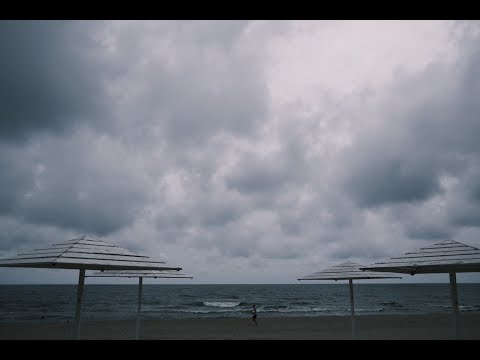 Видео: Читаем любимые стихи