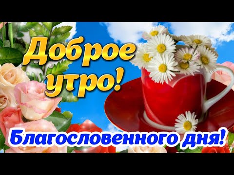 Видео: 🌺 Доброго утра! ☕️ Благословенного дня! 🕊 Красивые пожелания с Добрым утром! Открытка