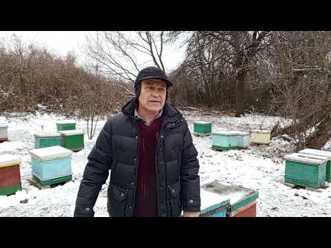 Видео: Снова в эфире :)) Зимуем.