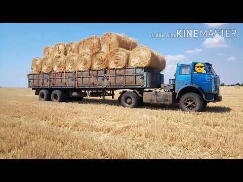 Видео: Заготовка соломы на зиму.