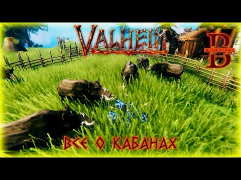 Видео: Valheim - Кабаны: ПРИРУЧЕНИЕ, РАЗВЕДЕНИЕ, РЕСУРСЫ