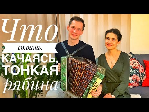 Видео: ТОНКАЯ РЯБИНА || ЧТО СТОИШЬ КАЧАЯСЬ || ЛЮБИМАЯ ПЕСНЯ МОЕЙ БАБУШКИ || ЛЮБИМЫЕ ПЕСНИ ПОД ГАРМОНЬ