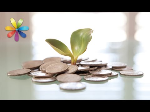 Видео: Пять секретных ритуалов привлечения денежной удачи – Все буде добре. Выпуск 808 от 12.05.16