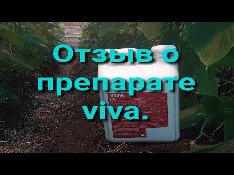 Видео: Отзыв о препарате Viva. Как использовал? Есть ли польза #землядел #farming #viva