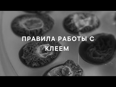 Видео: 6 ПРОСТЫХ ПРАВИЛ РАБОТЫ С КЛЕЕМ В НАРАЩИВАНИИ РЕСНИЦ