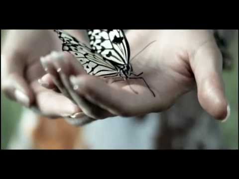 Видео: Горячий Шоколад - Береги