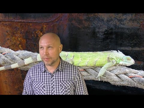 Видео: История четвёртая: о том как я стал 2-м механиком