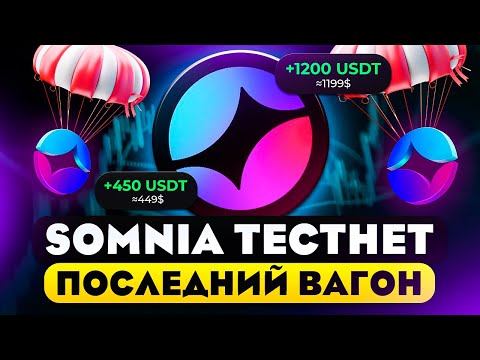 Видео: SOMNIA - СДЕЛАЙ ЭТИ ДЕЙСТВИЯ К ДРОПУ! ЛУЧШИЙ ТЕСТНЕТ 2025 БЕЗ ВЛОЖЕНИЙ