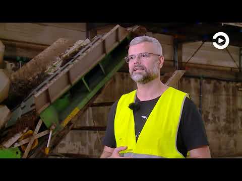 Видео: Как и где растут шампиньоны?)