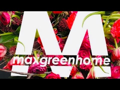 Видео: Посылка с Редкими Папоротниками 😃