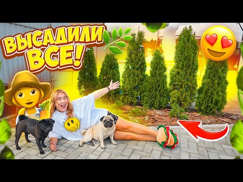 Видео: ВЫСАДИЛИ ВСЕ👉 НА УЧАСТКЕ🍀ШОППИНГ🌸👉 ОБУСТРОИЛИ ПОЛИСАДНИК за 24 Часа!