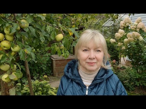 Видео: Дачные фанаты.Соседи уже не выращивают, а мы упираемся) От чего решили отказаться и почему