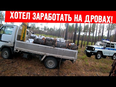 Видео: ХОТЕЛ ЗАРАБОТАТЬ НА ДРОВАХ!