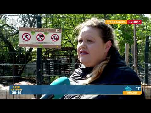 Видео: Жената, чиито пръсти бяха отхапани от пони: Изведнъж ме захапа, не съм очаквала | „Тази сутрин“–БТВ