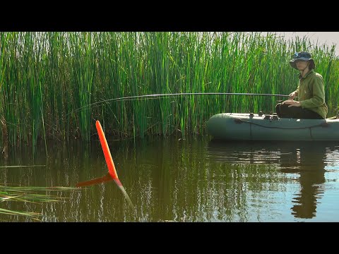 Видео: Рыбачу в ДЕБРЯХ, эти бешеные караси разгибают мне крючки!