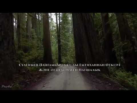 Видео: Сүлеймен Пайғамбарды а.c.  Емтиханнан Өткізуі және оған Берілген Патшалық   Ерлан Ақатаев ᴴᴰ