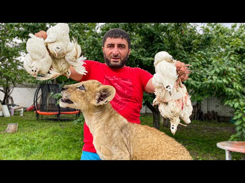 Видео: Сочные ПЕРЕПЕЛКИ Приготовленные в ТАНДЫРЕ вместе с Хрустящим Кроликом!