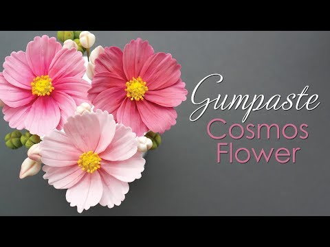 Видео: Как сделать цветок космеи из мастики. Урок