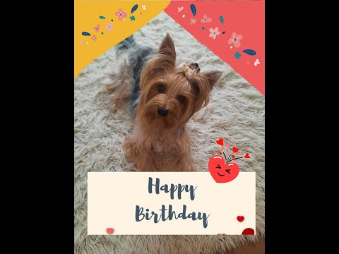 Видео: РОЖДЕН ДЕН на половинката!  #birthday  #party  #рожденден