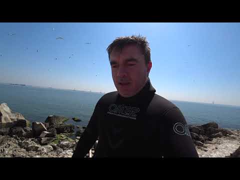 Видео: Подводная охота - Остров Вульф