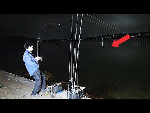 Видео: На эту наживку ловлю рыбу за рыбой! (Крупная рыба, которую закоптил Монстр!)