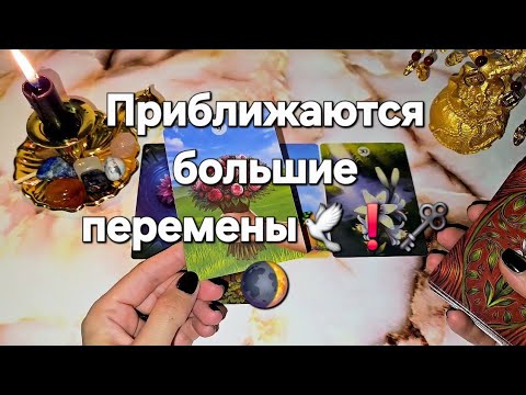 Видео: Что поменяется в вашей жизни в ближайшее время 💫🔥❗️ВОТ ТАК НОВОСТИ 🔥